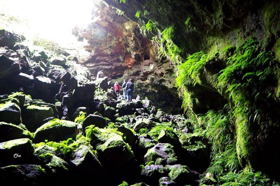 Ta Dung Lake, Ha Long Bay in Central Highlands Ta Dung Lake, Ha Long Bay of Central Highlands