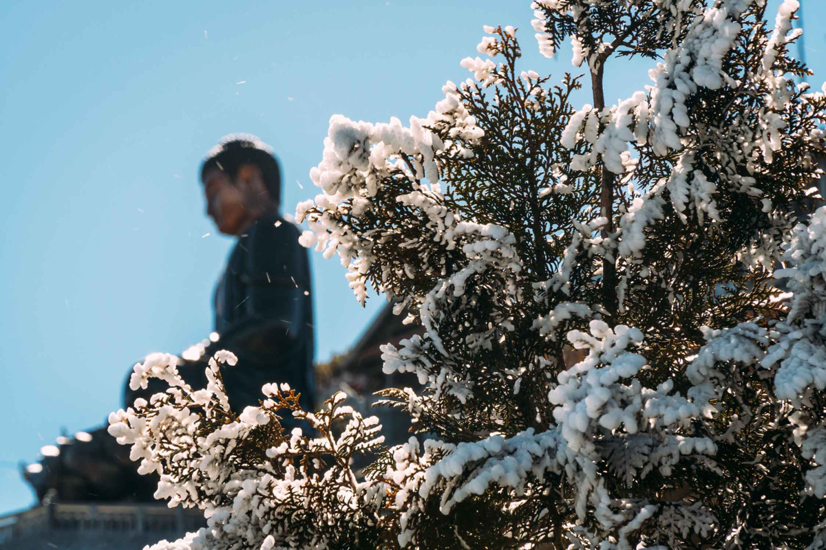 The year-round magical beauty of Fansipan The year-round magical beauty of Fansipan