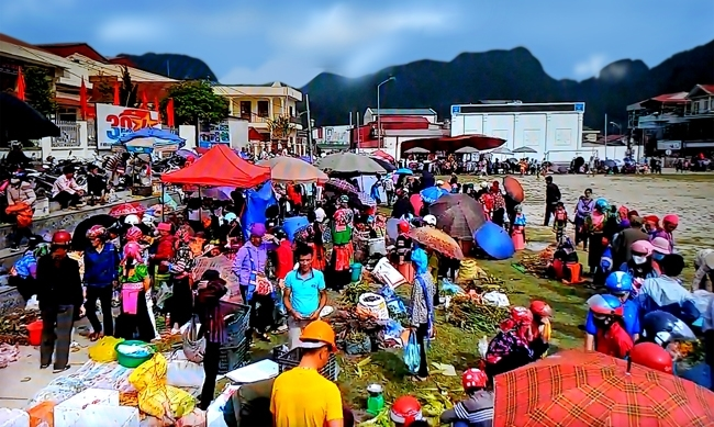 check in tourism digital transformation awakens lai chaus treasure