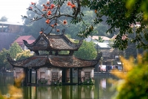 blossoming ablaze red bombax ceiba paints thay pagoda a highlighted sketch