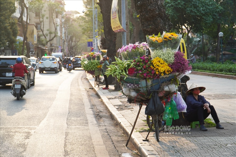 Hanoi turns romantic with lily flower blooming season 0713-lily-blooming-season-in-hanoi