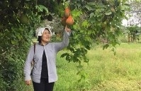 24 ro water purifier systems installed in 35 water plants in ben tre