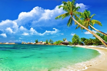 scuba diving must try experience in phu quoc island