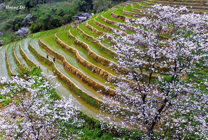 mesmerizing tourist sites in yen bai vietnam