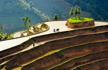 paos house a cultural and architectural attraction in ha giang province