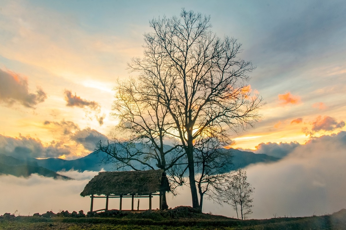 Alluring seas of clouds in Y Ty commune, northern Vietnam Alluring seas of clouds in Y Ty commune, northern Vietnam