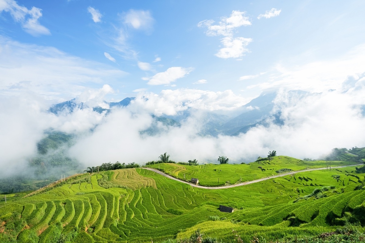 Alluring seas of clouds in Y Ty commune, northern Vietnam Alluring seas of clouds in Y Ty commune, northern Vietnam