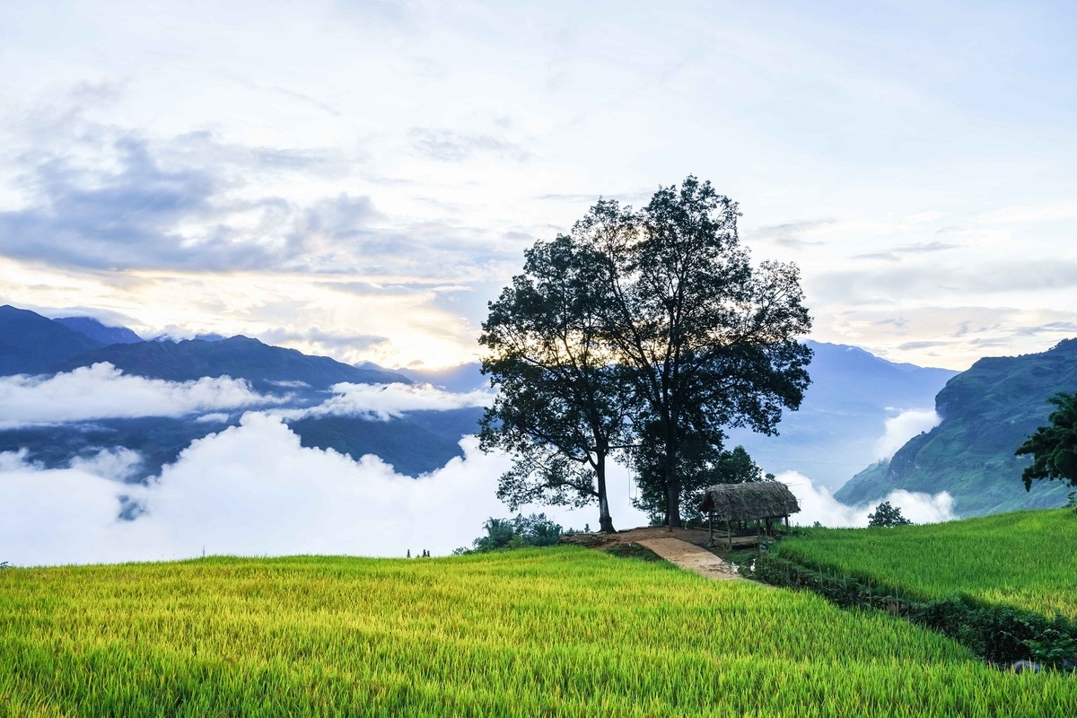 Alluring seas of clouds in Y Ty commune, northern Vietnam Alluring seas of clouds in Y Ty commune, northern Vietnam