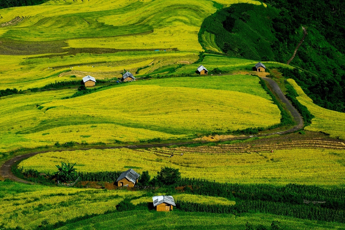 Alluring seas of clouds in Y Ty commune, northern Vietnam Alluring seas of clouds in Y Ty commune, northern Vietnam