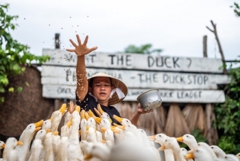 gorgeous phong nha in the eyes of an international reporter