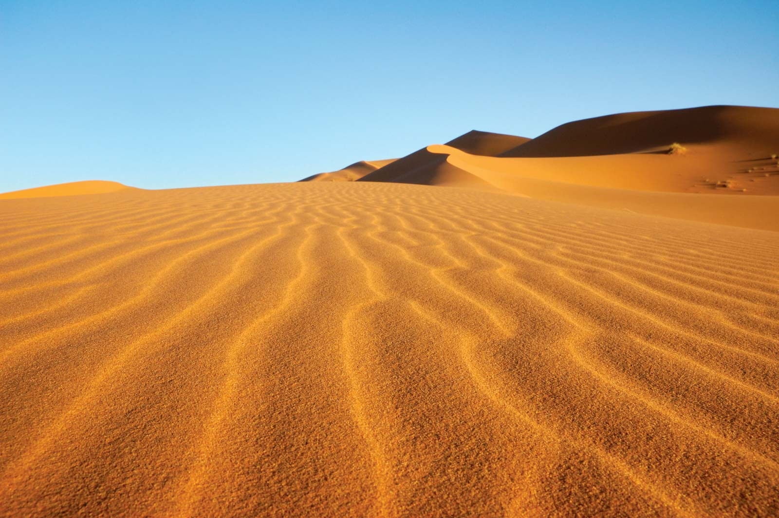 Top 7 ‘bucket list’ travel experience in Africa Top 7 ‘bucket list’ travel experience in Africa