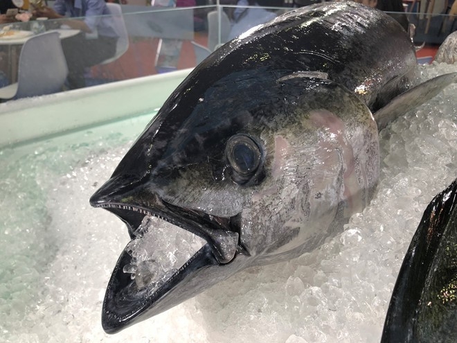 undefined Vietnam’s tuna exports volume in July to the EU enjoys a skyrocketing increase and is expected to keep rising thanks to the EVFTA Agreement.