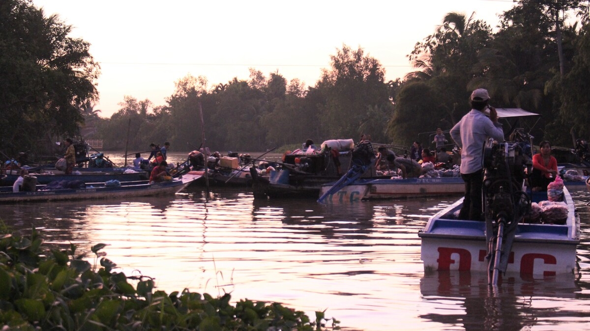 Video: Vibrant dawn at Phong Dien floating market Video: Vibrant dawn at Phong Dien floating market