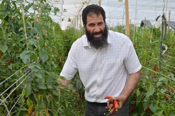 Vietnamese Egyptian earns millions of dollars from farming in desert Fahim (photo: cafebiz)