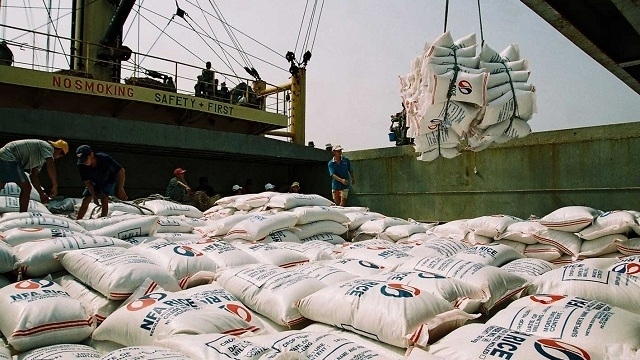 undefined Rice exporters in Vietnam (Photo: Nhan Dan)