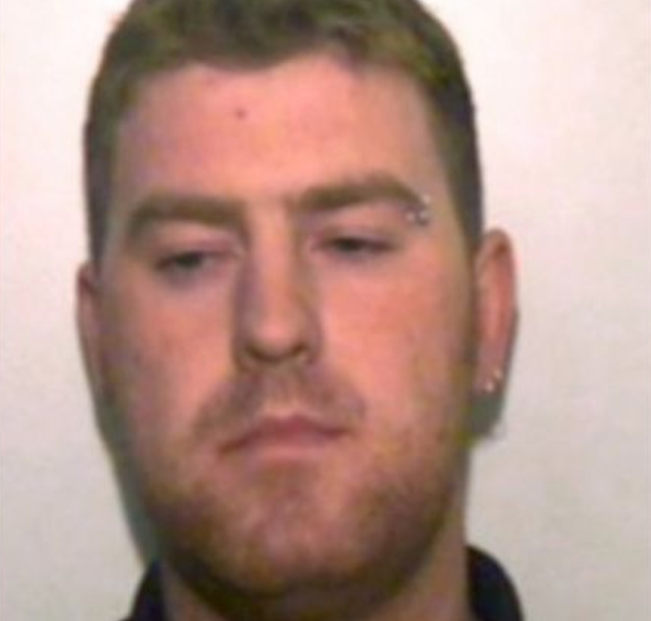 irish driver pleads guilty to manslaughter of vietnamese regarding essex lorry deaths