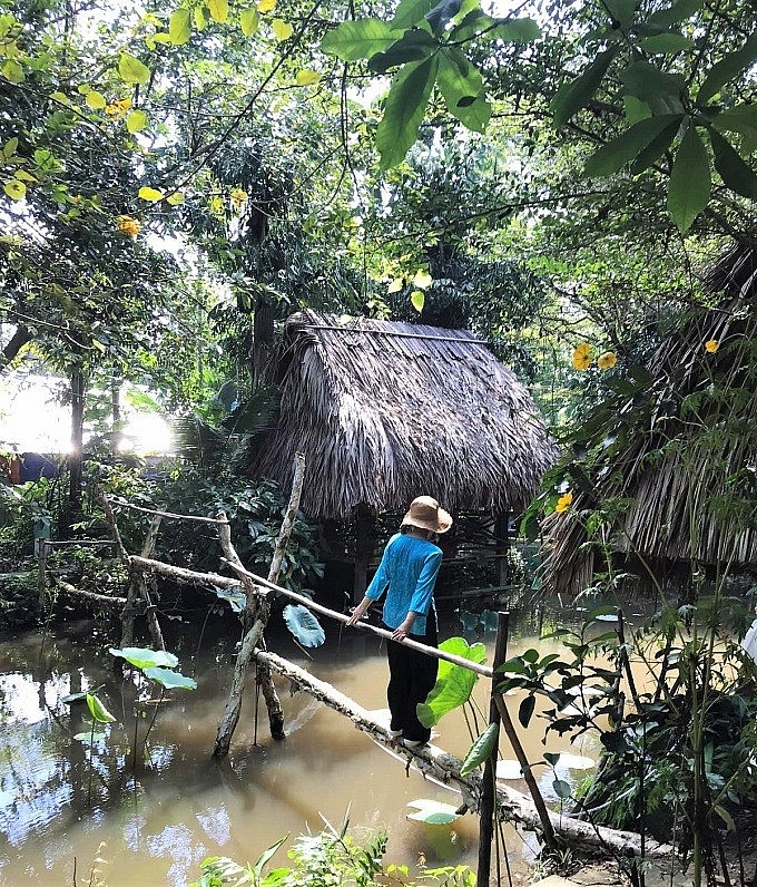 Tourists Join Farming in 4 Gardens Near HCMC Tourists Join Farming in 4 Gardens Near HCMC