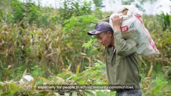 Improving the Lives of Disadvantaged Communities in Quang Tri, Hoa Binh, Ha Giang