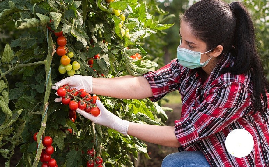 Photo: European Labour Authority Photo: European Labour Authority