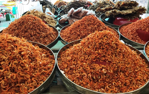 Ca Mau’s pristine sites and cultural values magnet for tourists Ca Mau’s pristine sites and cultural values magnet for tourists
