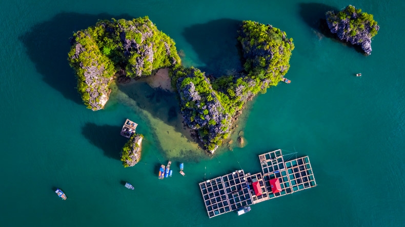 A Vietnam's Bay Named Among 10 Most Beautiful Global Destinations A Vietnam's Bay Named Among 10 Most Beautiful Global Destinations