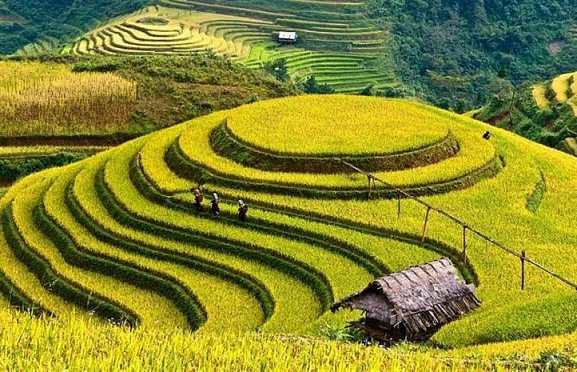 Hoi An and Sa Pa Named As Favorite Images Locations In Vietnam
