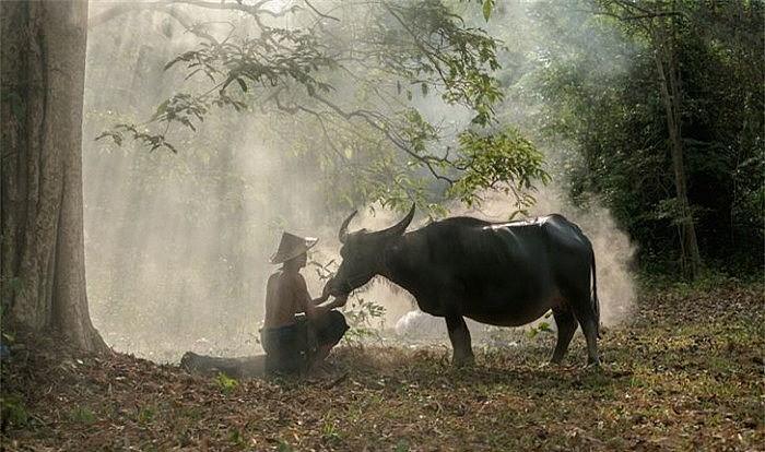 Thai Photographer Searches For Rustic Beauty of Three Mekong Countries Thai Photographer Searches For Rustic Beauty of Three Mekong Countries