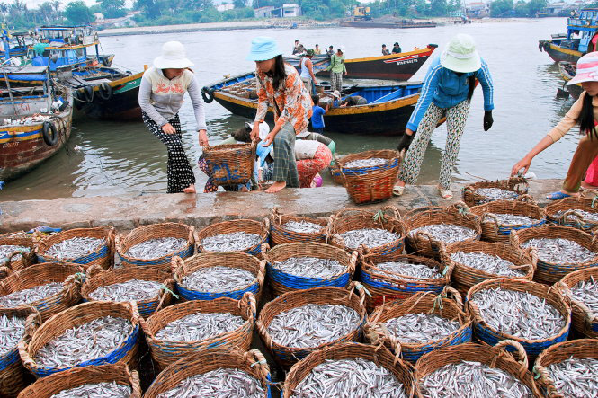Phu Quoc fish sauce making seeks UNESCO recognition as world intangible cultural heritage Phu Quoc fish sauce making seeks UNESCO recognition as world intangible cultural heritage