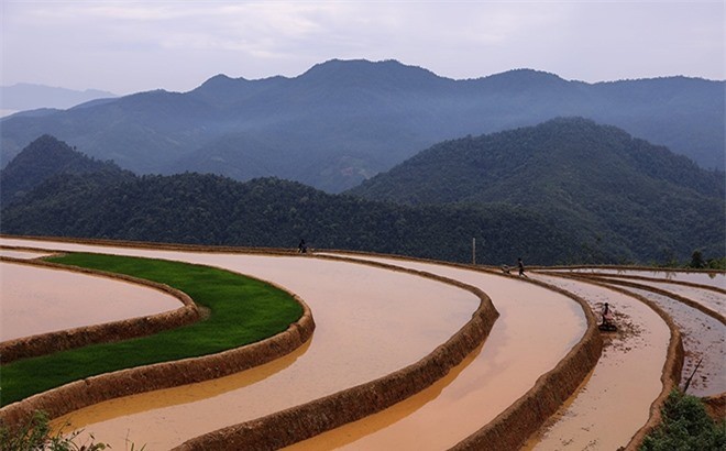 Beautiful Phong Du Thuong Terraced Fields in Yen Bai Beautiful Phong Du Thuong Terraced Fields in Yen Bai