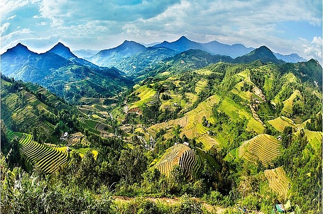 A glimpse of Hoang Su Phi in the harvest season A Glimpse of Hoang Su Phi in the Harvest Season