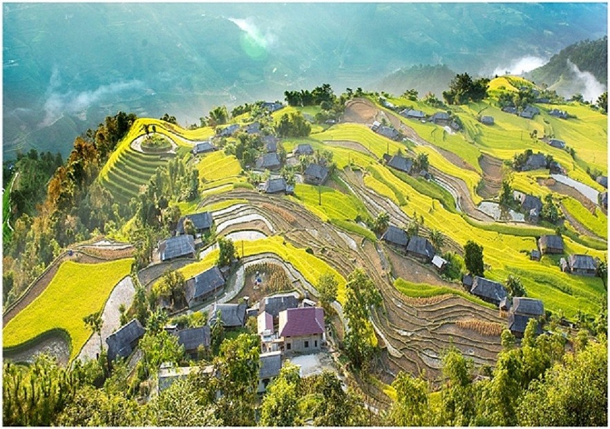 A glimpse of Hoang Su Phi in the harvest season A Glimpse of Hoang Su Phi in the Harvest Season