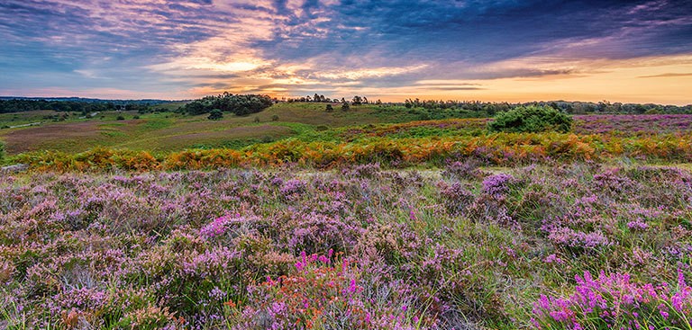 Photo: Visit Southampton Photo: Visit Southampton