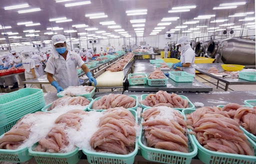 Photo: Vietnam Economic News 0653-image