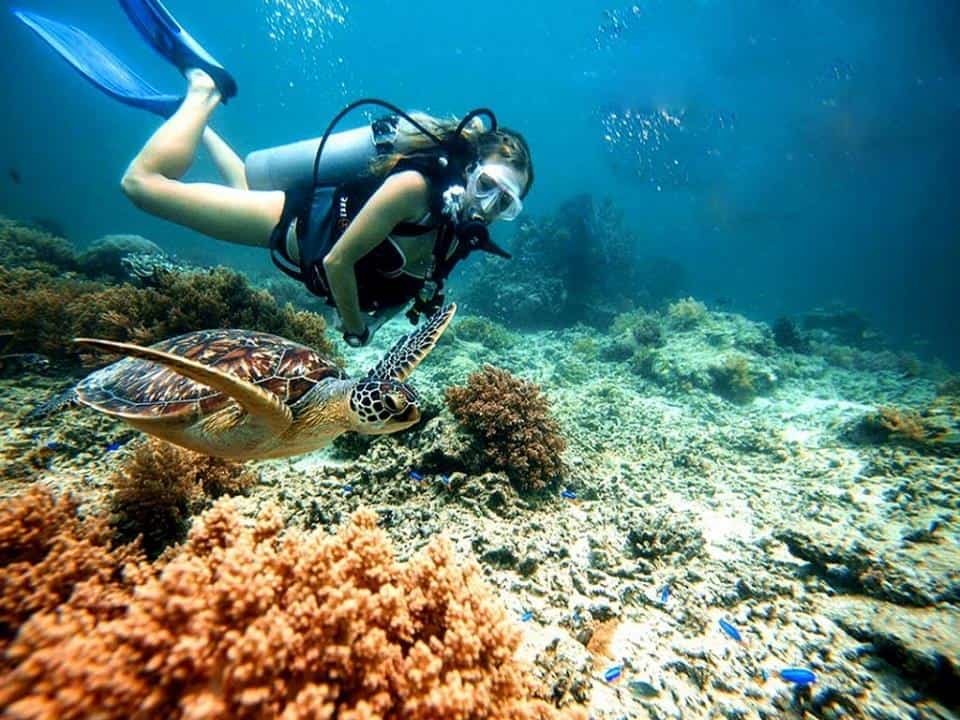 Photo: Vietnam Discovery Travel Photo: Vietnam Discovery Travel