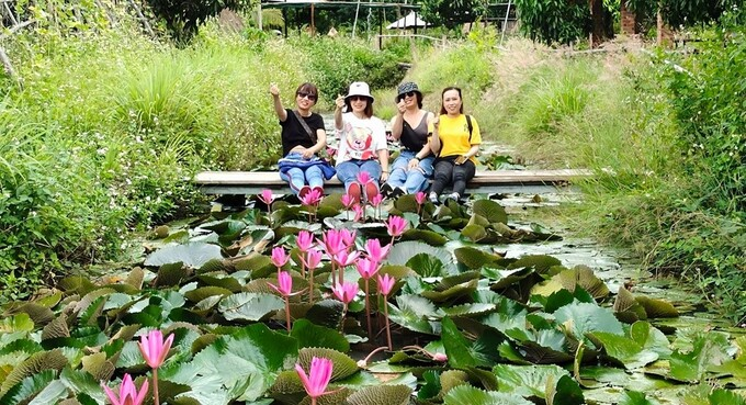 Booking.com: Vietnamese Tourists