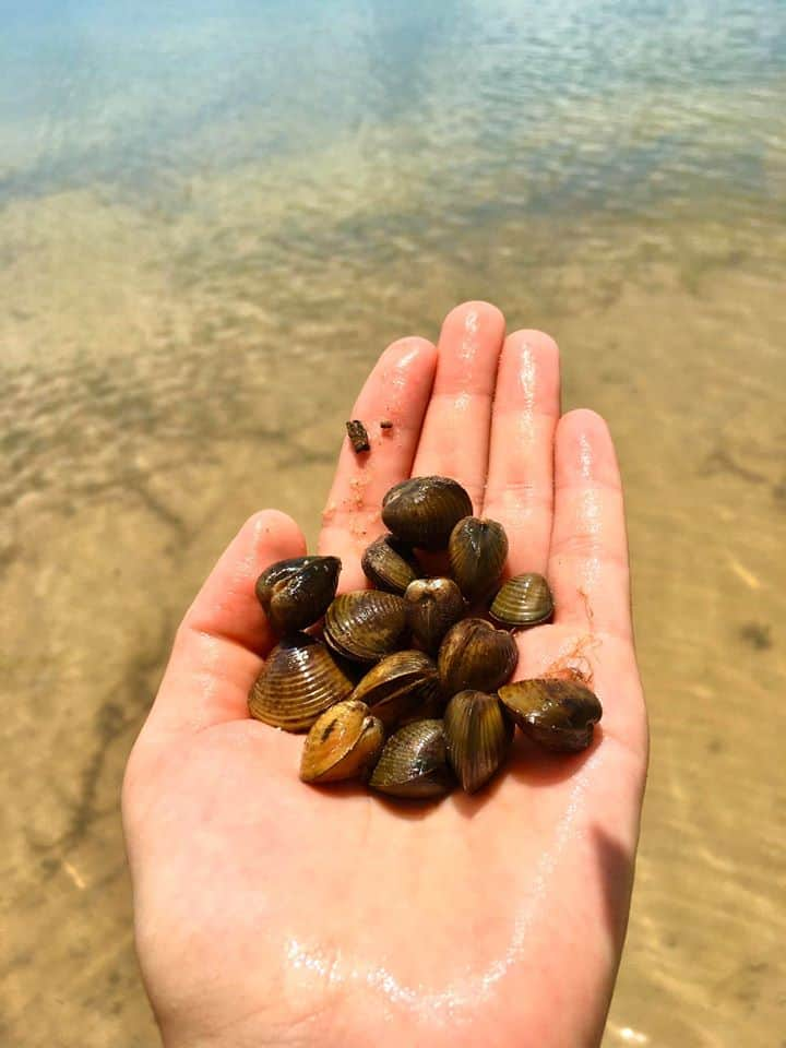 Fishing, catching chem slash … are activities you can experience here – Photo source: FB Quynh Nhu Fishing, catching chem slash … are activities you can experience here – Photo source: FB Quynh Nhu