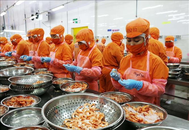 Vietnam’s seafood exports expected to hit $9.4 billion in 2021. Photo: VNA Vietnam’s seafood exports expected to hit $9.4 billion in 2021. Photo: VNA