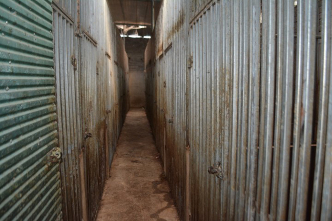 The basement where the tigers were kept. Photo courtesy of Nghe An Police. The basement where the tigers were kept. Photo courtesy of Nghe An Police.