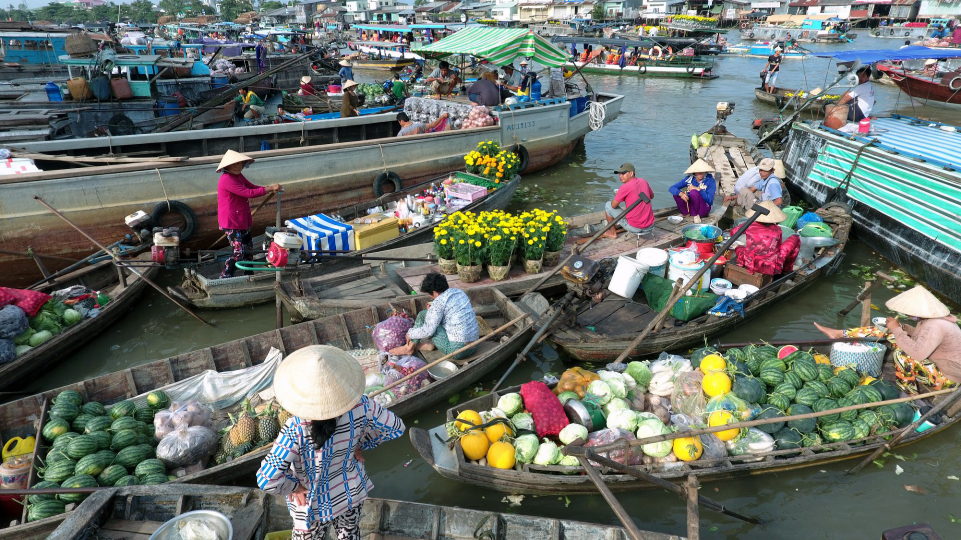 Photo: thanhnienmekong Photo: thanhnienmekong