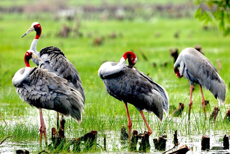 Photo: Yeudulich Photo: Yeudulich