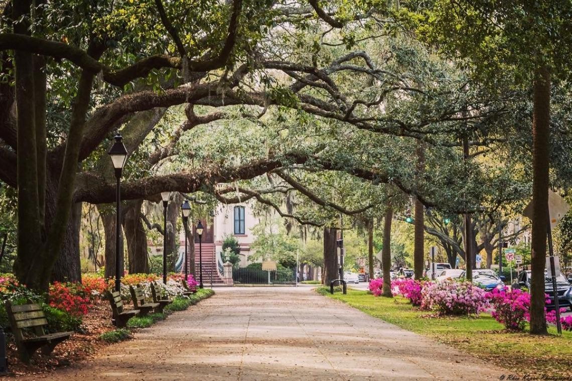 Photo: Explore Georgia Photo: Explore Georgia