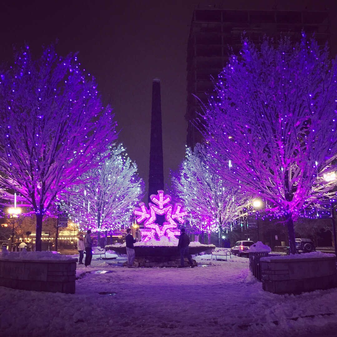 Photo: The North Carolina Arboretum Photo: The North Carolina Arboretum