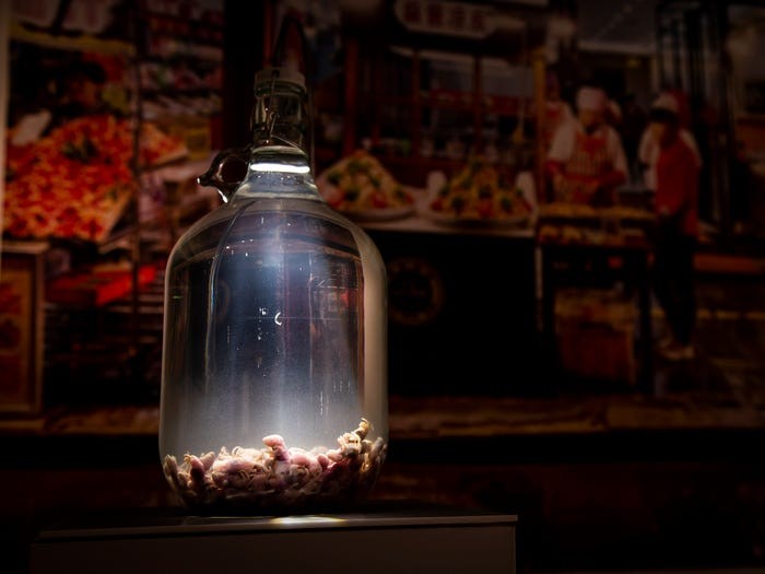 Photo: Anja Barte Telin / The Disgusting Food Museum Photo: Anja Barte Telin / The Disgusting Food Museum