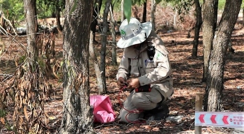 Quang Tri: Grenades near villagers’ garden safely destroyed