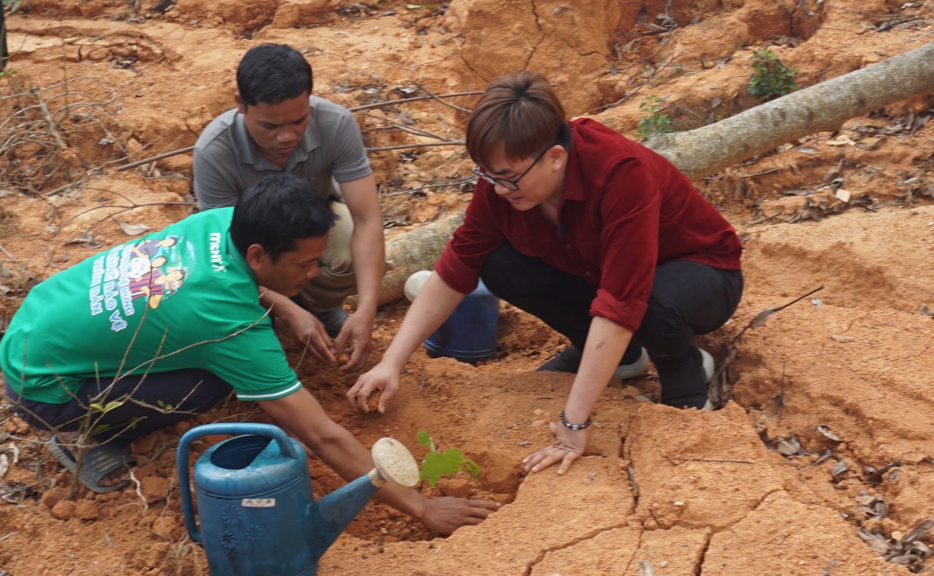 Vietnamese MC joins NGO in sustainable forest management Vietnamese MC joins NGO in sustainable forest management