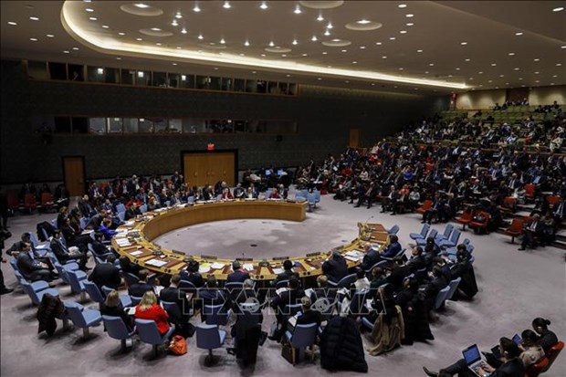 vietnam affirms support for palestinian peoples struggle for inalienable rights