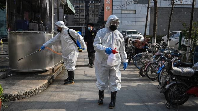 animals live for man chinas appetite for wildlife likely to survive virus