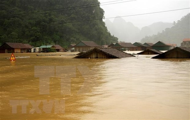 Flood-affected people in Quang Ngai receive support from NGO Flood affected people in Quang Ngai receive support from NGO