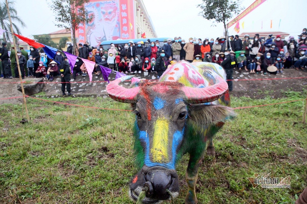 State President Attends Traditional New Year Ploughing Festival in Ha Nam