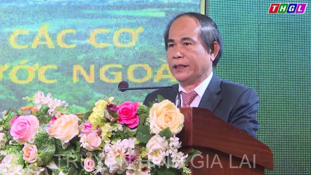Gia Lai Seeks Ways to Promote Ties with Foreign Partners Gia Lai Seeks Ways to Promote Ties with Foreign Partners